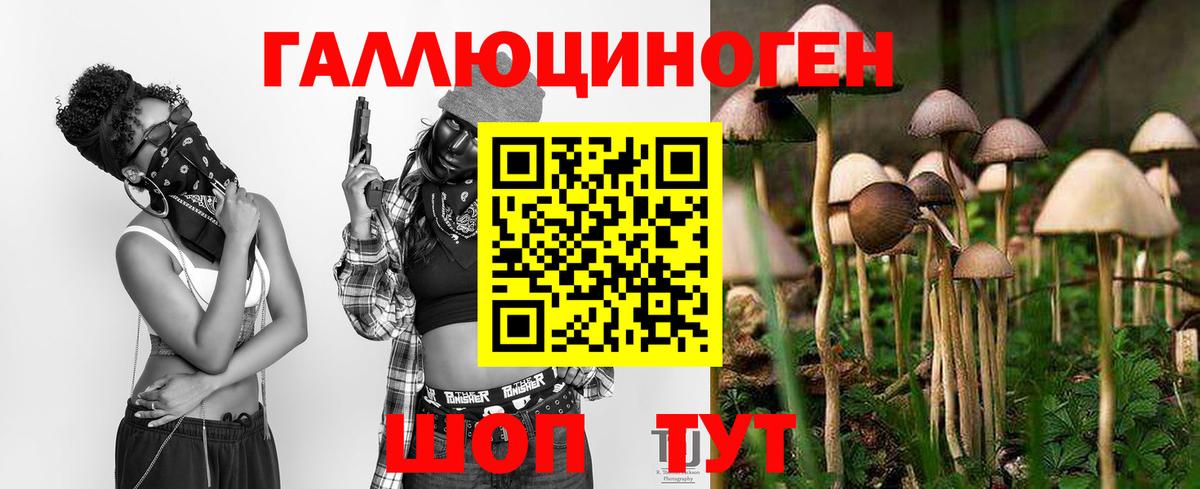 Киреевск  Галлюциногенные грибы мухоморы  Вход с VPN 